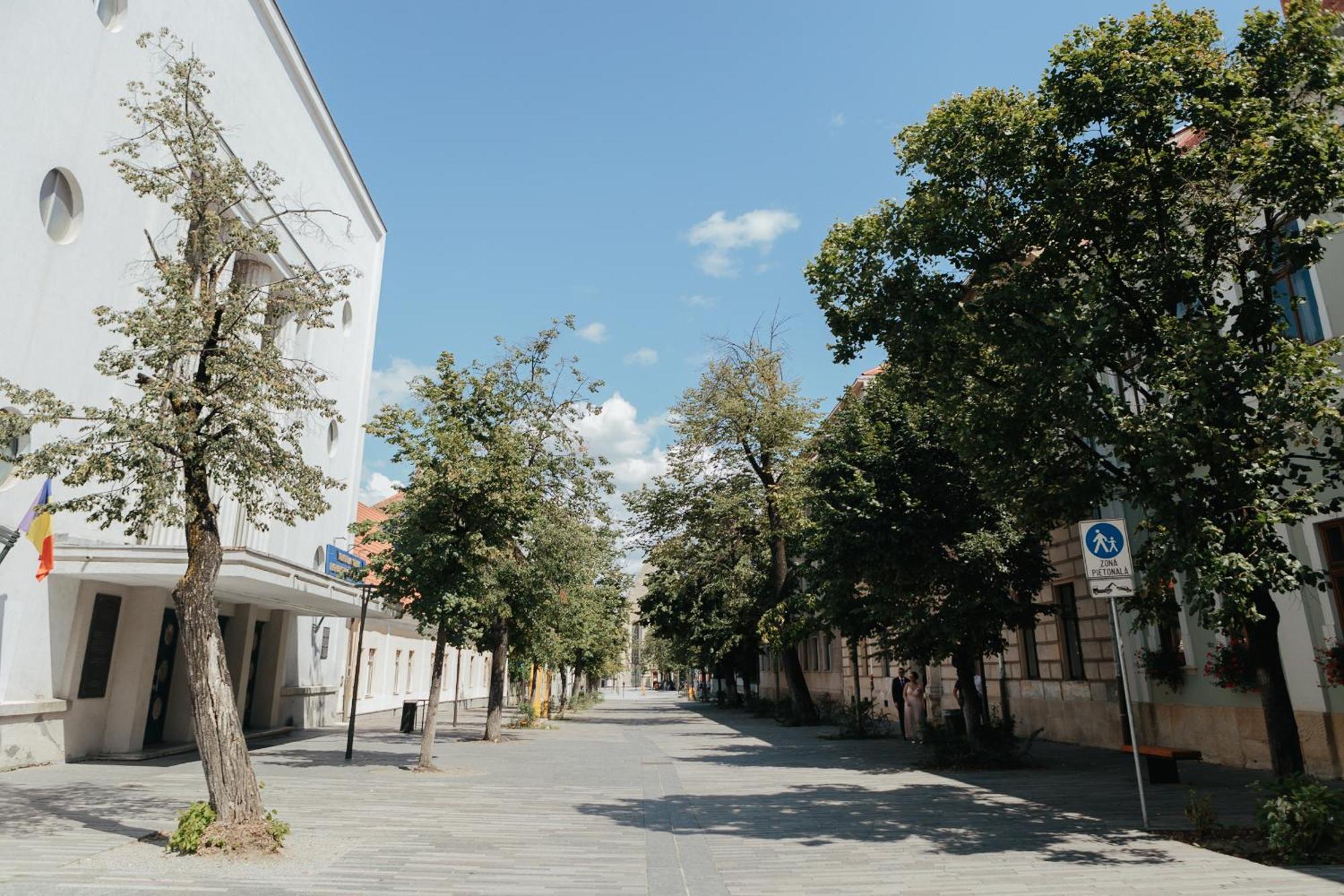 Contessa Central Studio Cluj-Napoca Exterior photo